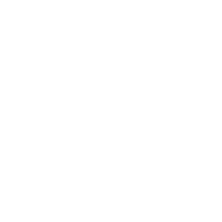 logo-ptgroup